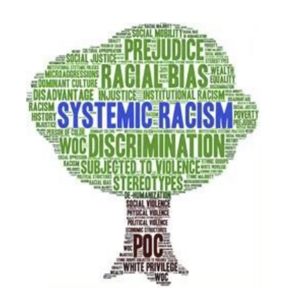 The shape of a tree formed from words such as systemic racism, discrimination, racial bias, prejudice