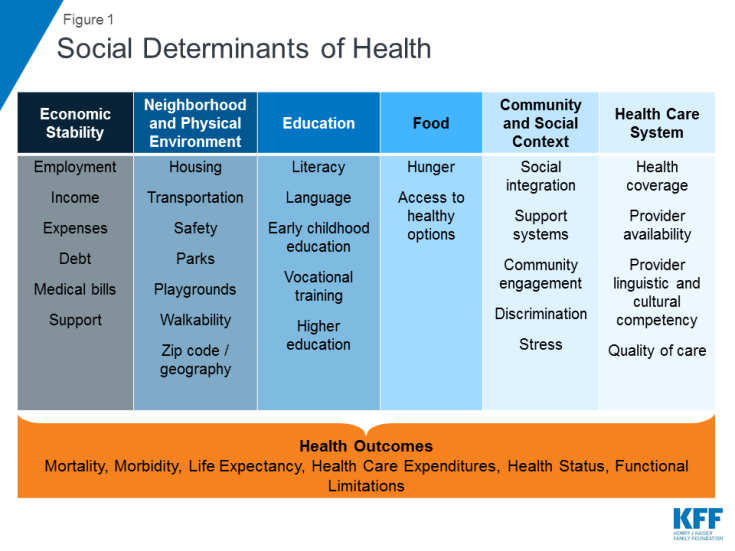 A chart showing various social determinants of health (from the kaiser foundation)