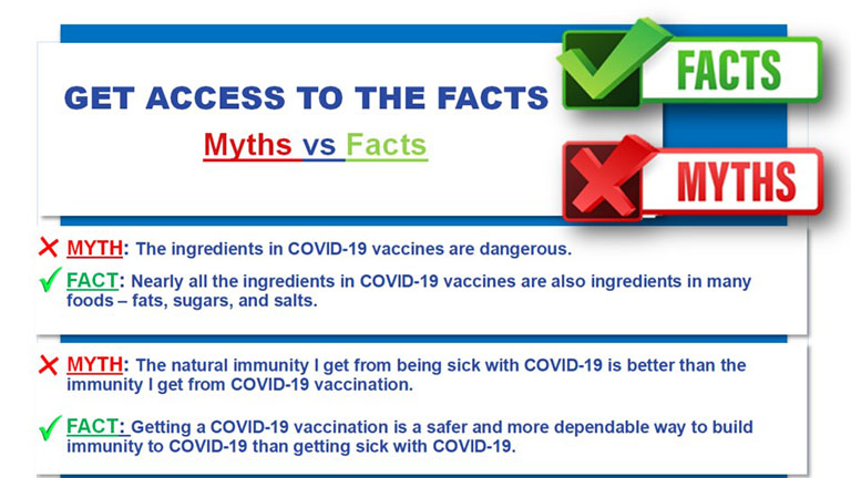 Screenshot of a myth vs facts fact sheet.