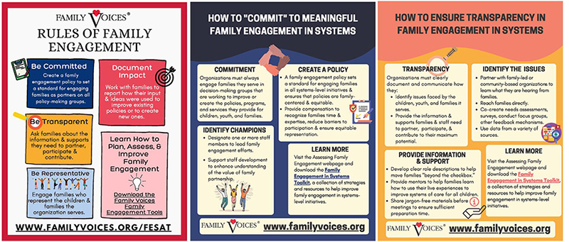Three colorful infographics related to the FESAT shown side by side.