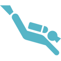 Icon depicting a scuba diver.