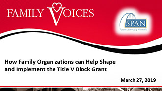 Preview of the slide deck for the webinar on how family organizations can help shape the title V block grant.
