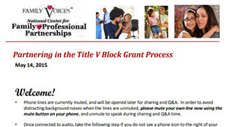 A preview of the slides from the resource's presentation about partnering in the Title V block grant process.