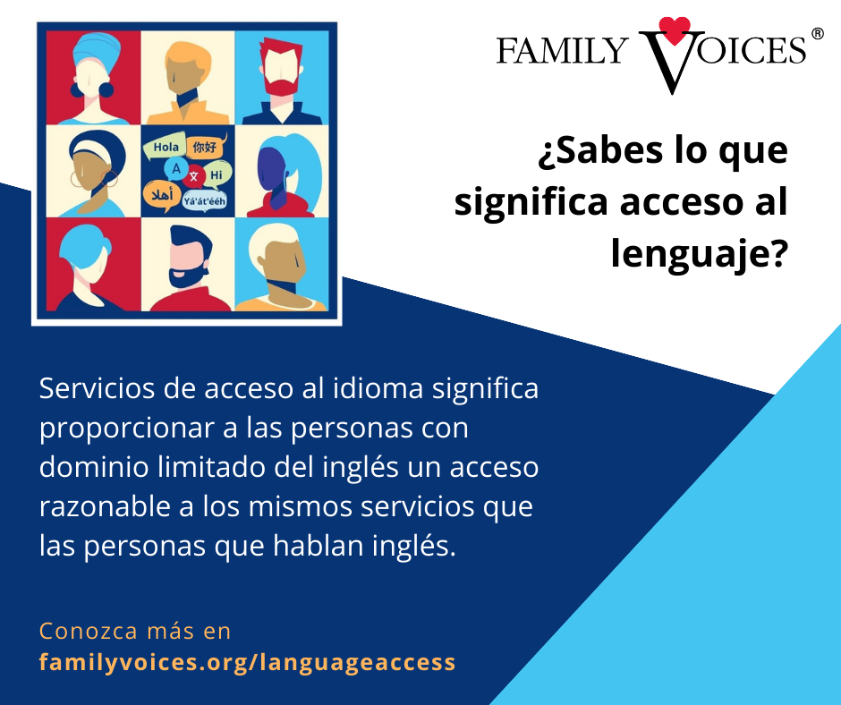 Servicios de acceso al idioma significa proporcionar a las personas con dominio limitado del inglés un acceso razonable a los mismos servicios que las personas que hablan inglés.