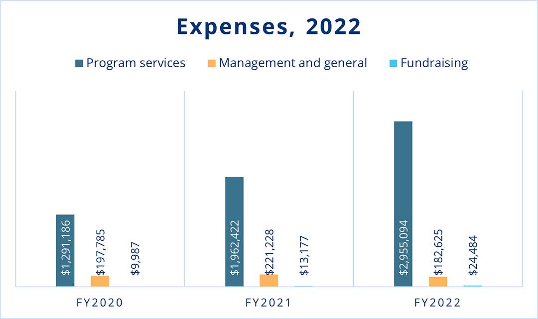 Bar chart showing Family Voices expenses in 2022, with program services the largest expense, and small expenses in management and general, and fundraising.
