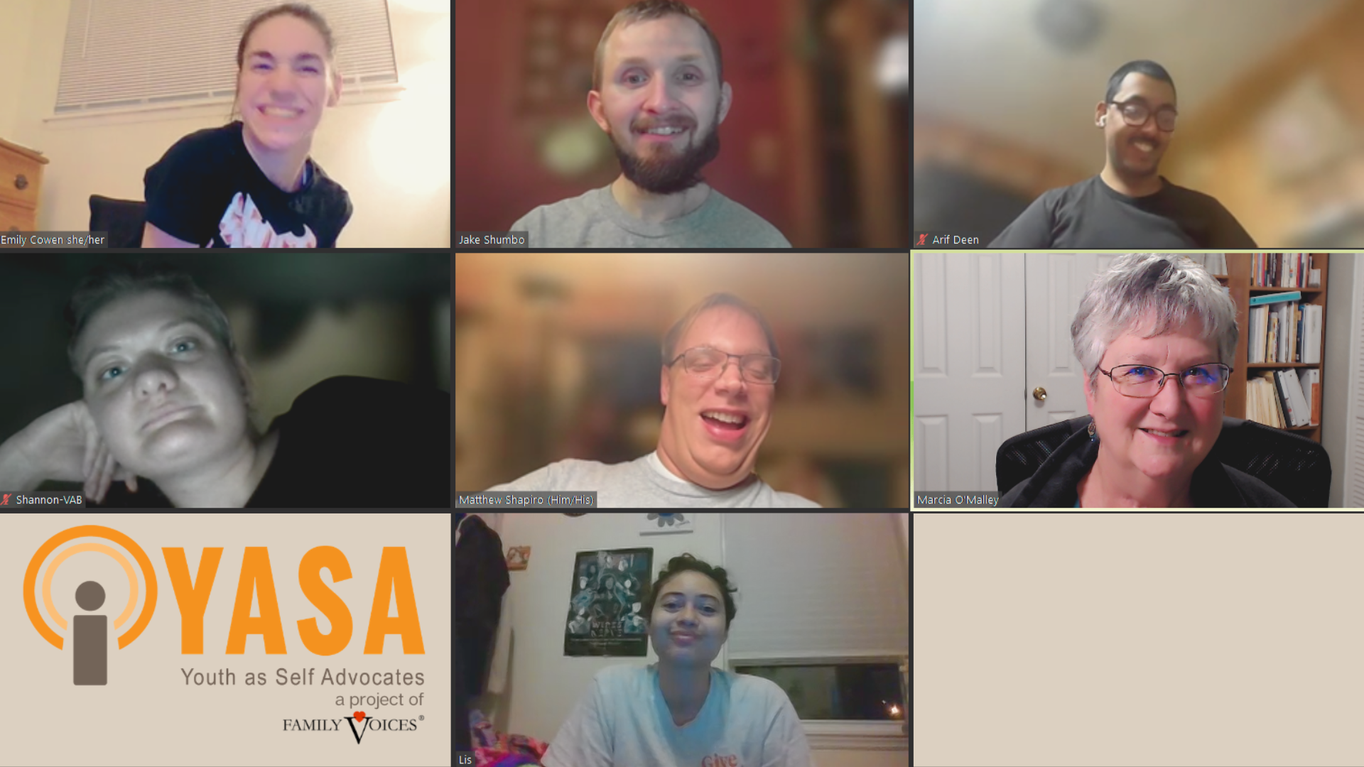 Screenshot of a YASA meeting on Zoom