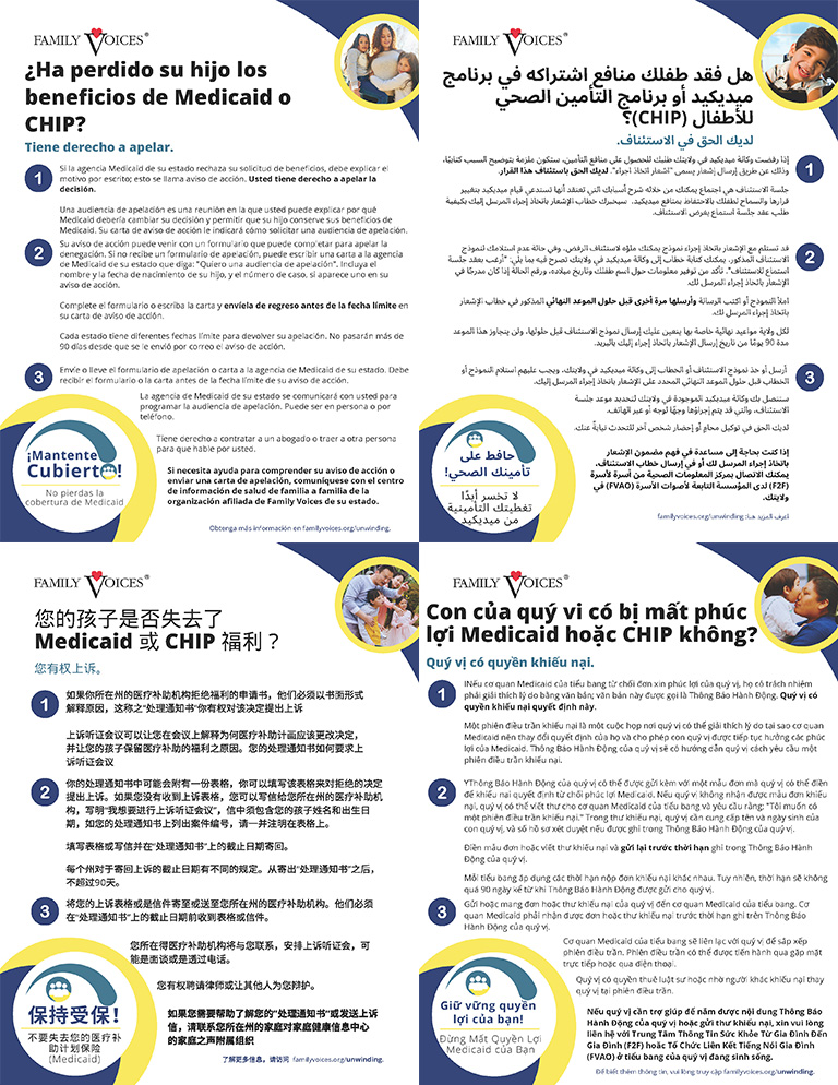 Unwinding right to appeal tip sheet in multiple languages, arabic, mandarin chinese, spanish, and vietnamese.
