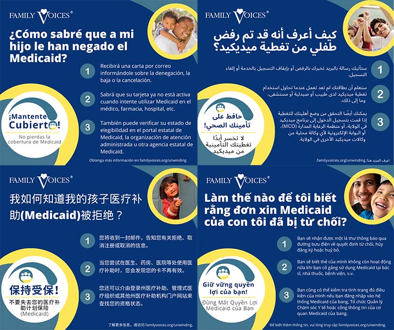 A preview showing the Medicaid Denial infographic is available in multiple languages.