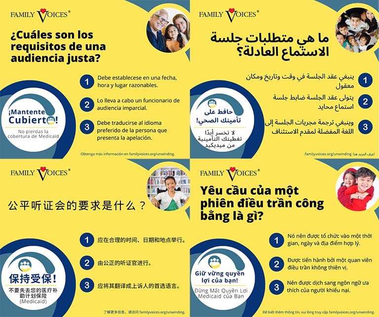 A preview showing the Fair Hearing infographic is available in multiple languages.