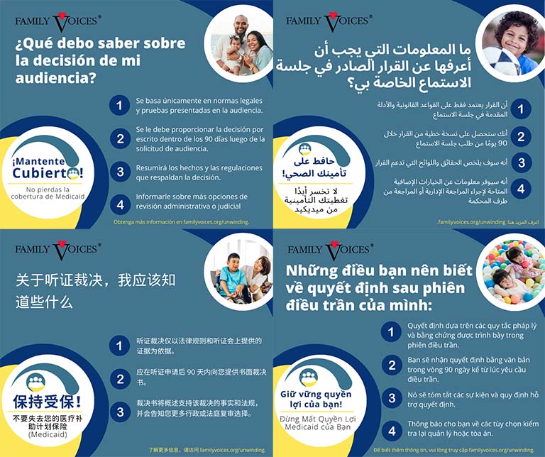 A preview showing the Hearing Decision Information infographic is available in multiple languages.