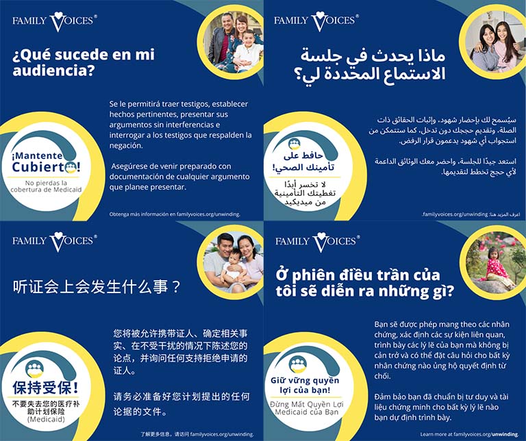 A preview showing the Hearing Process infographic is available in multiple languages.
