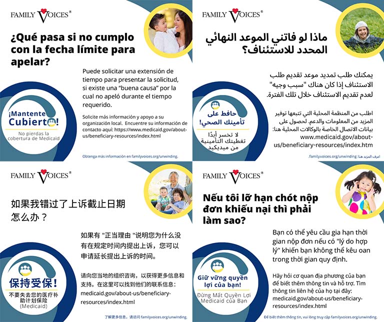 A preview showing the Missed Deadline help infographic is available in multiple languages.