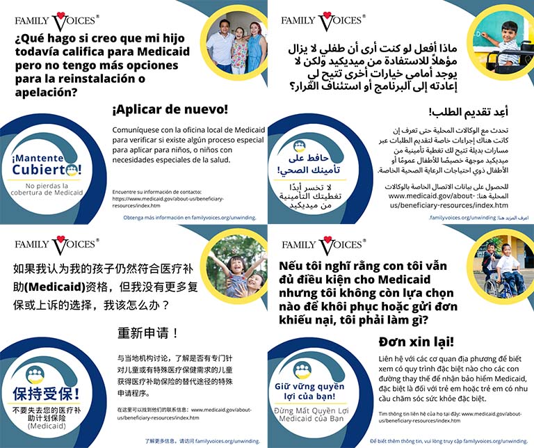 A preview showing the No More Options infographic is available in multiple languages.