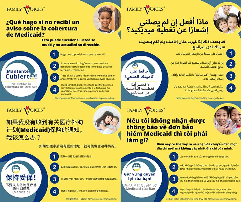 A preview showing the No Notice infographic is available in multiple languages.