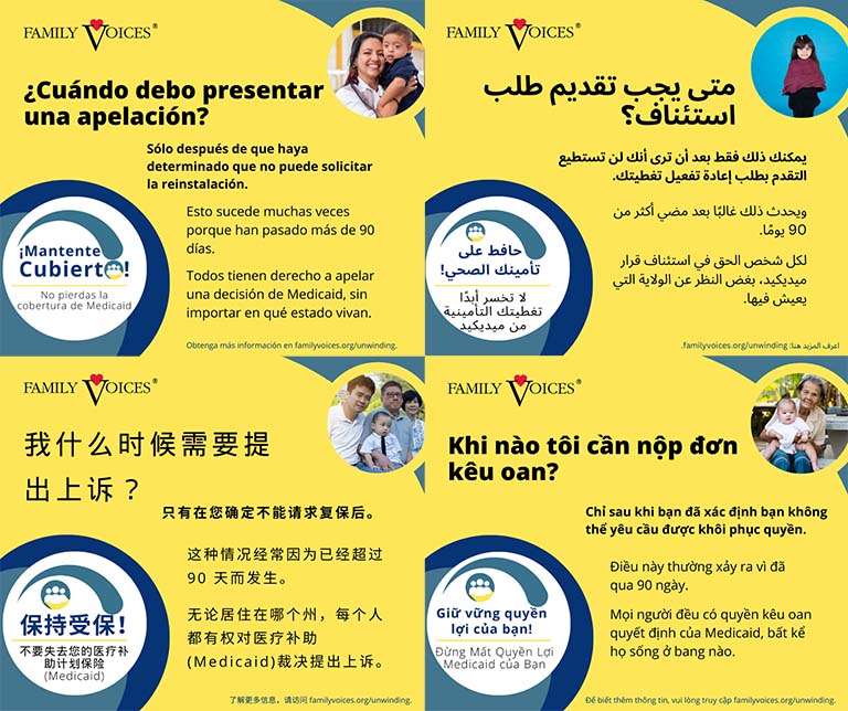 A preview showing the Why Appeal infographic is available in multiple languages.