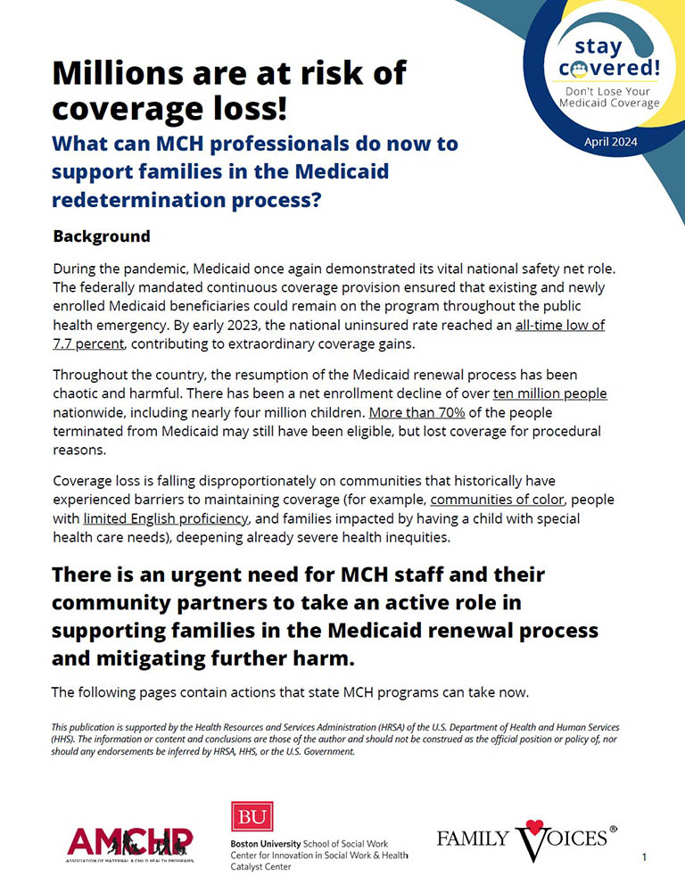 Preview of a fact sheet for professionals about millions at risk of Medicaid coverage loss.