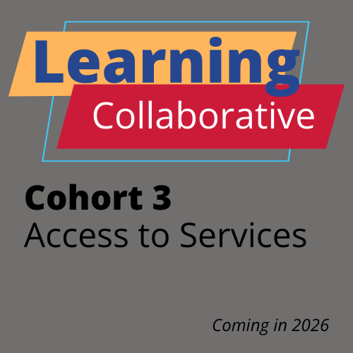 FELSC Learning Collaborative Cohort 3 Access to Services